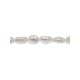 HILO PERLA DE RIO LONG 5,5-6,0MM BARROCA