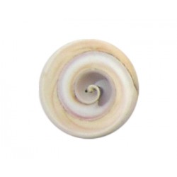 NACAR DISCO ESPIRAL 25MM - 4 UNIDADES